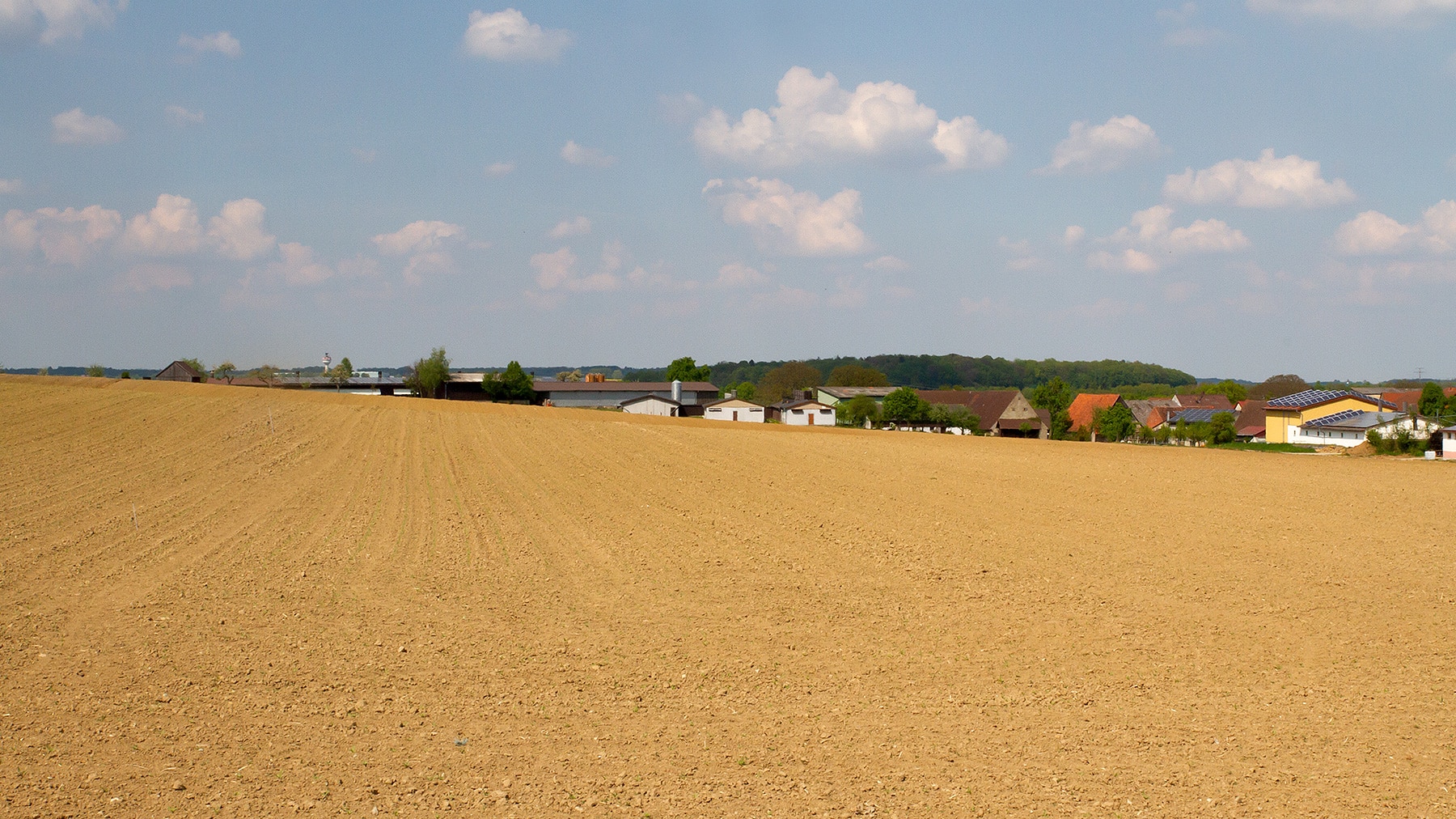 Brachland bei Könbronn