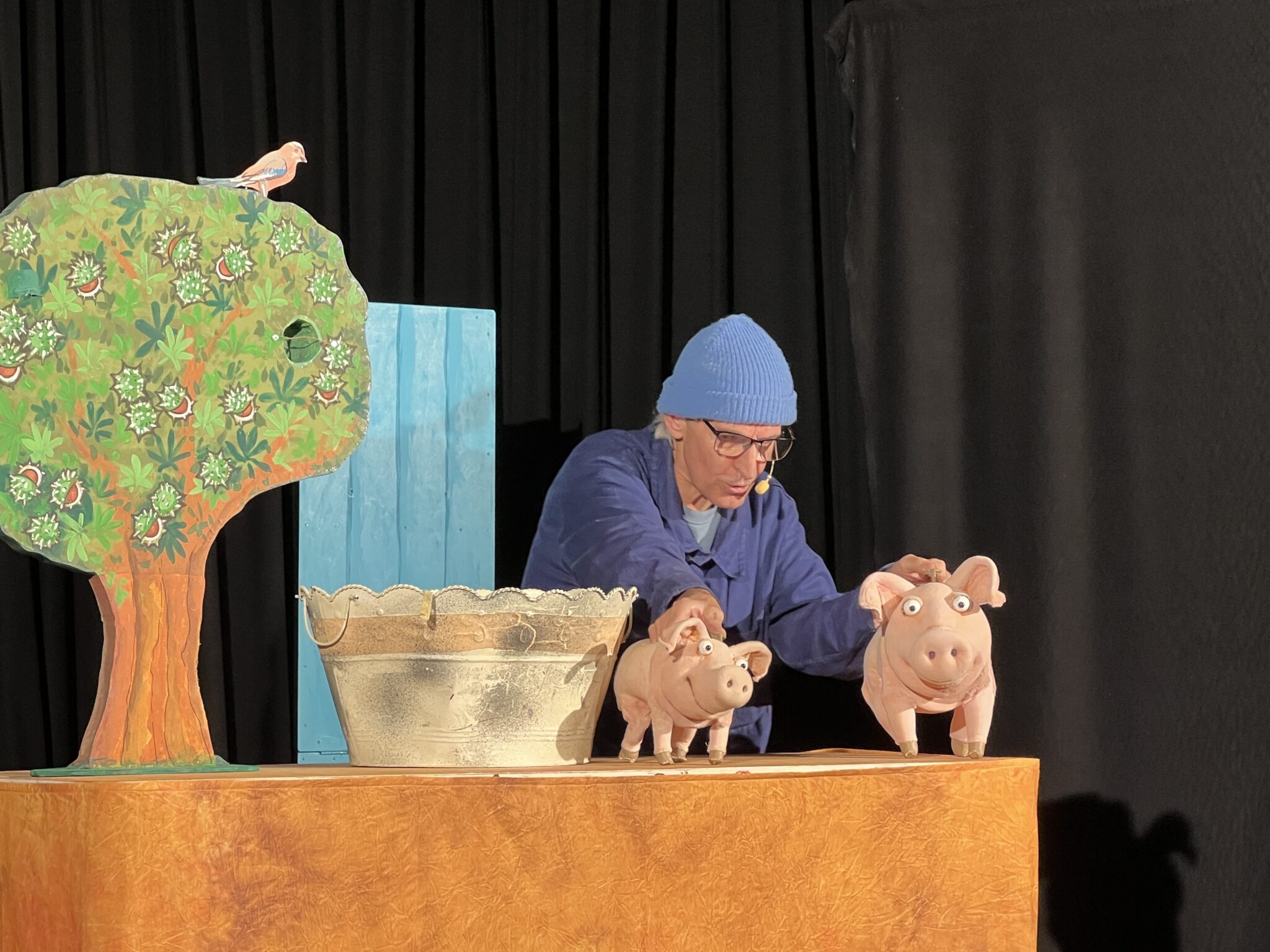 Wenn Schweine sprechen können Piggeldy und Frederick verzauberten Schrozberg