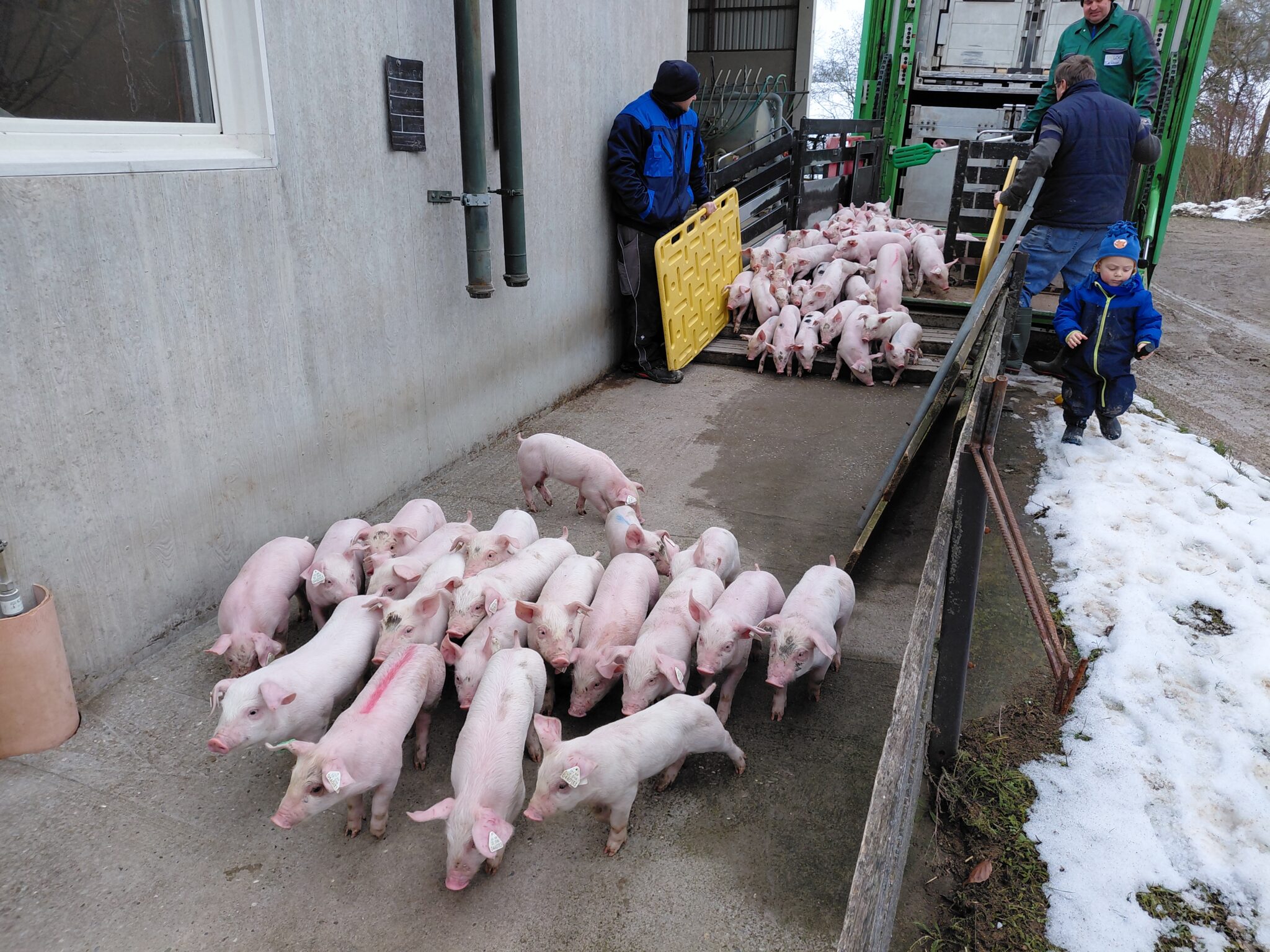 Kindergarten Zwergenstube Bartenstein - Ettenhausen
