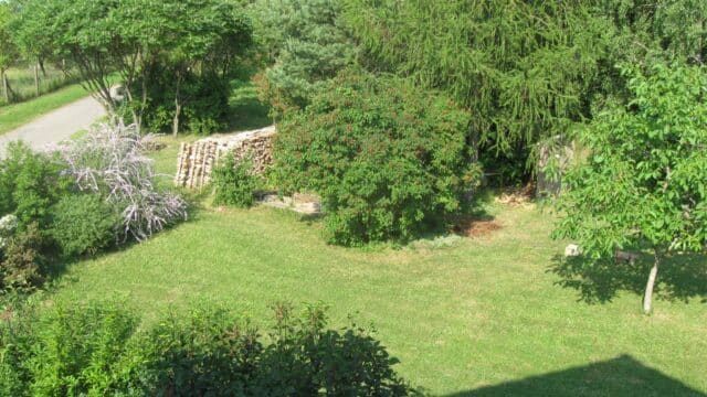 Ausblick aus der Fewo