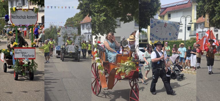 Festumzug beim Jacobi - Collage